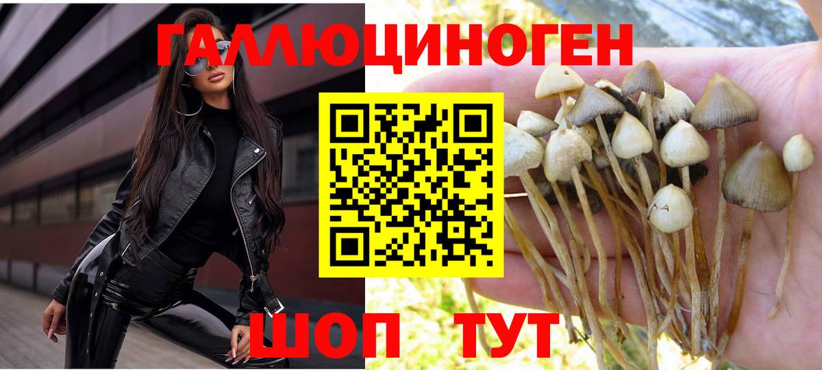 Псилоцибиновые грибы ЛСД Ленинск-Кузнецкий